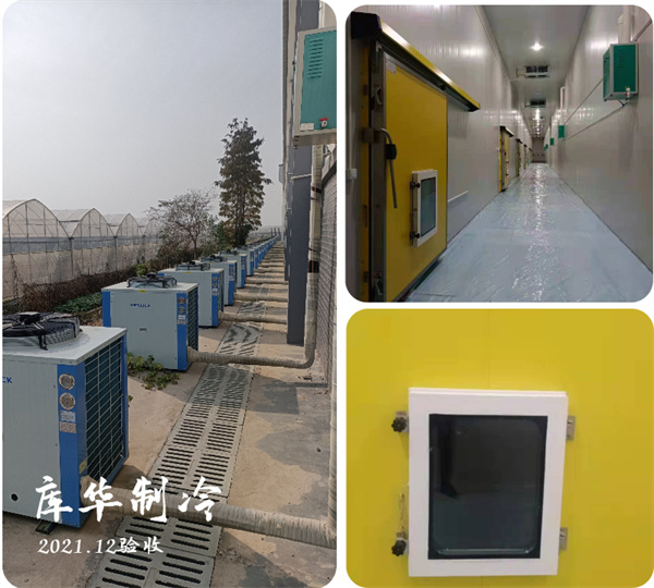 大型冷庫如何合理設計規(guī)劃建造？ 